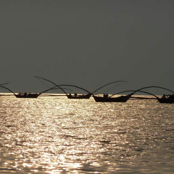 Experience Africa intensively: in small groups and with local expertise